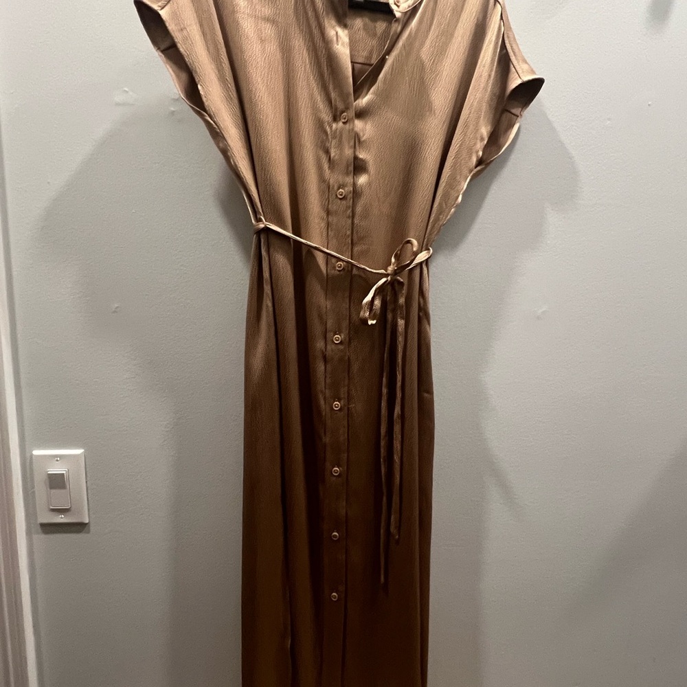 Banana Republic Golden Brown Maxi Dress